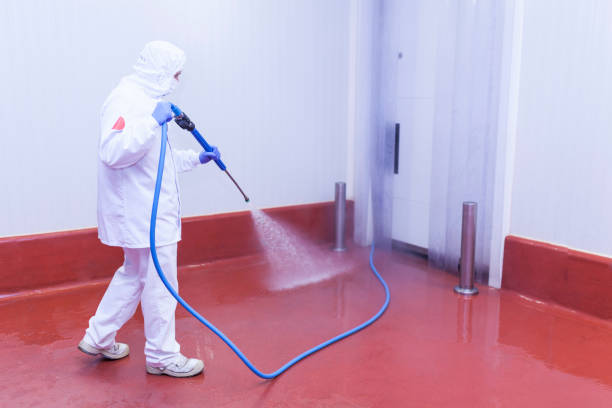 Trusted East Mckeesport, PA Pressure Washing Experts